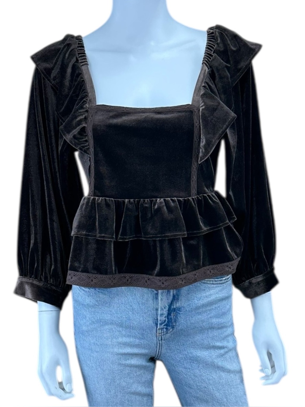 Saltwater Luxe NWT Brown Velvet Cruz Top Size S N0799